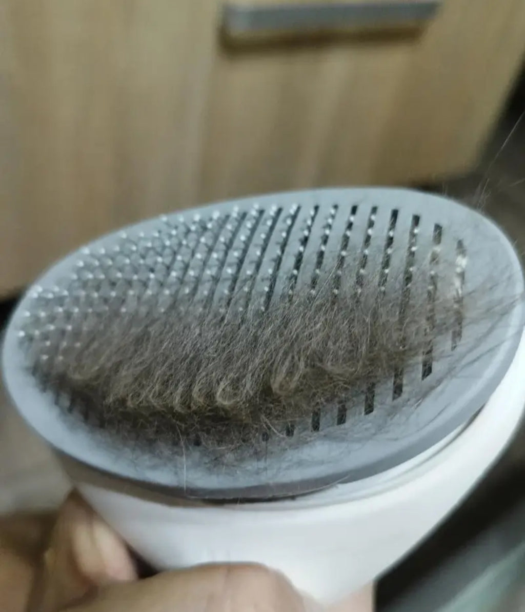 TailWag™ One-Click Brush