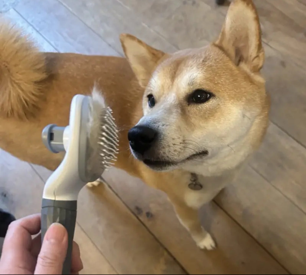 TailWag™ One-Click Brush